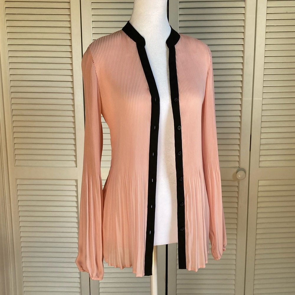 Pleated Sheer Button-Up long sleeved Blouse - Picture 2 of 8
